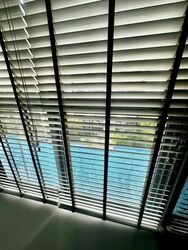 North Park Residences (D27), Apartment #621047831